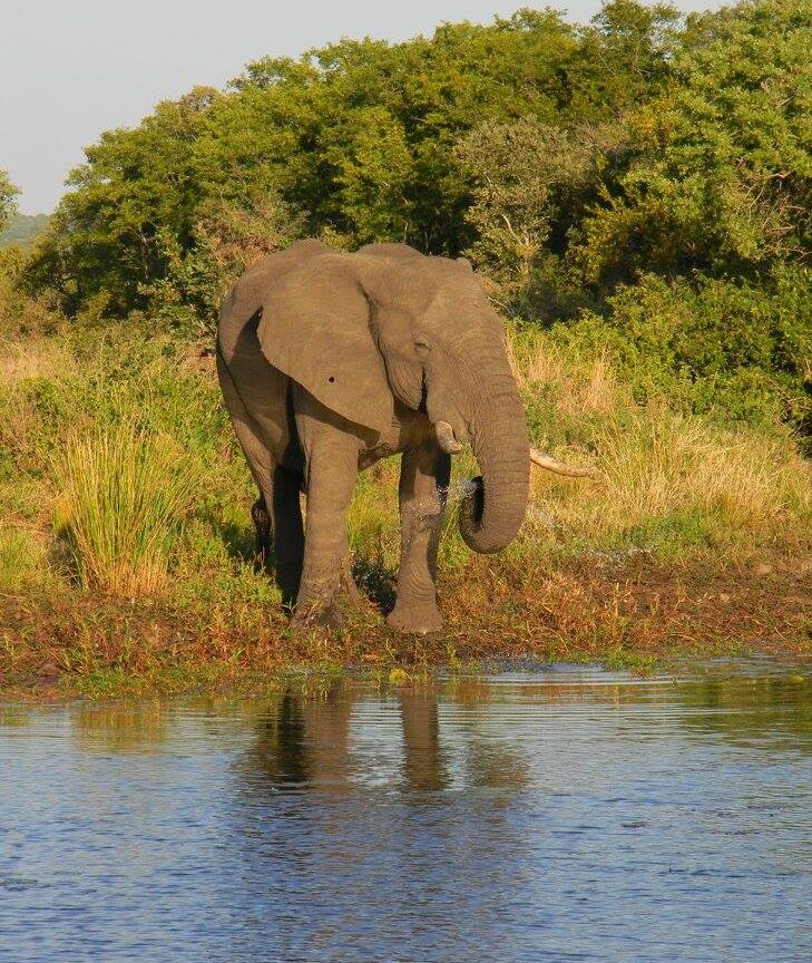 11096412 906542032739784 8923943317697955568 o