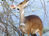 10506626 906542642739723 471086520215707685 o 1