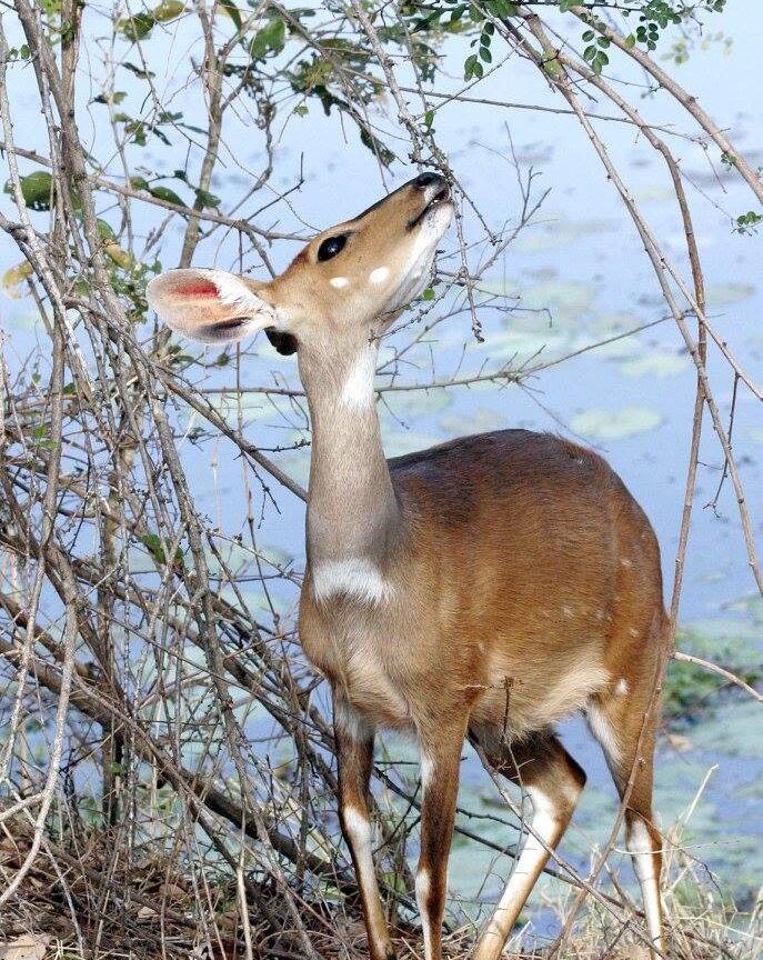 10506626 906542642739723 471086520215707685 o