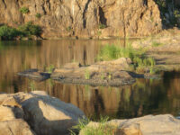 10842321 917623361631651 6216391632495071570 o