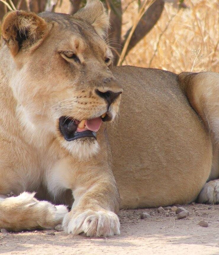 11112843 906542992739688 1786567868675394707 o