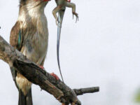 11154754 906543236072997 5109365978960988943 o 1