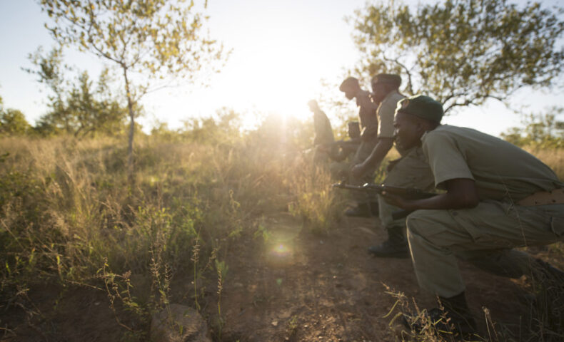 Cross Border collaboration GLTFCA 1002x668 1