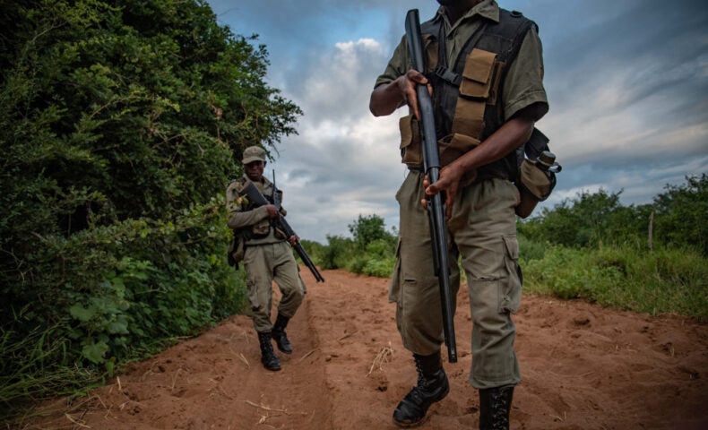 DSC 3471 2 1002x669 1