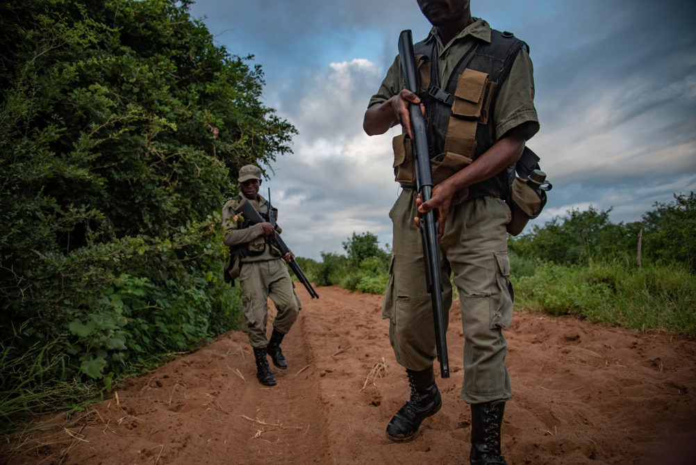 DSC 3471 2 1002x669 1