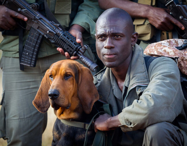 IMG 3700 web 1002x668 1 1