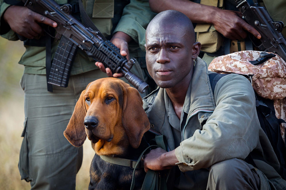 IMG 3700 web 1002x668 1 1