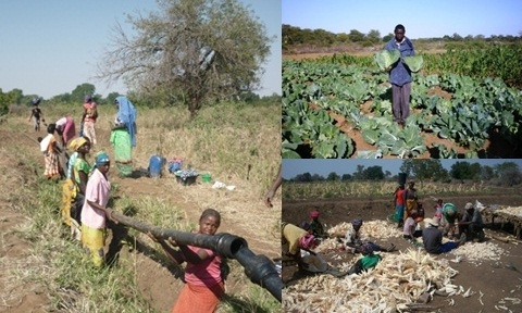 Limpopo2