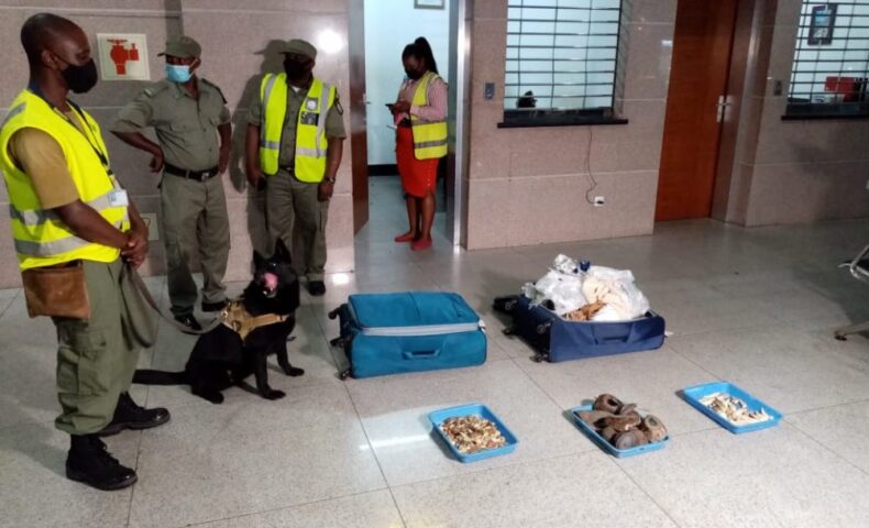 WhatsApp Image 2020 11 12 at 18.56.08 1002x752 1