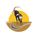 zinave